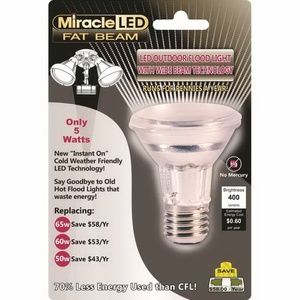 5W "Fat Beam" Wide Angle LED Outdoor Security Bulb